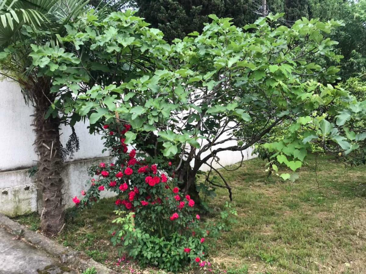 Guest House Dali Гагра Екстериор снимка