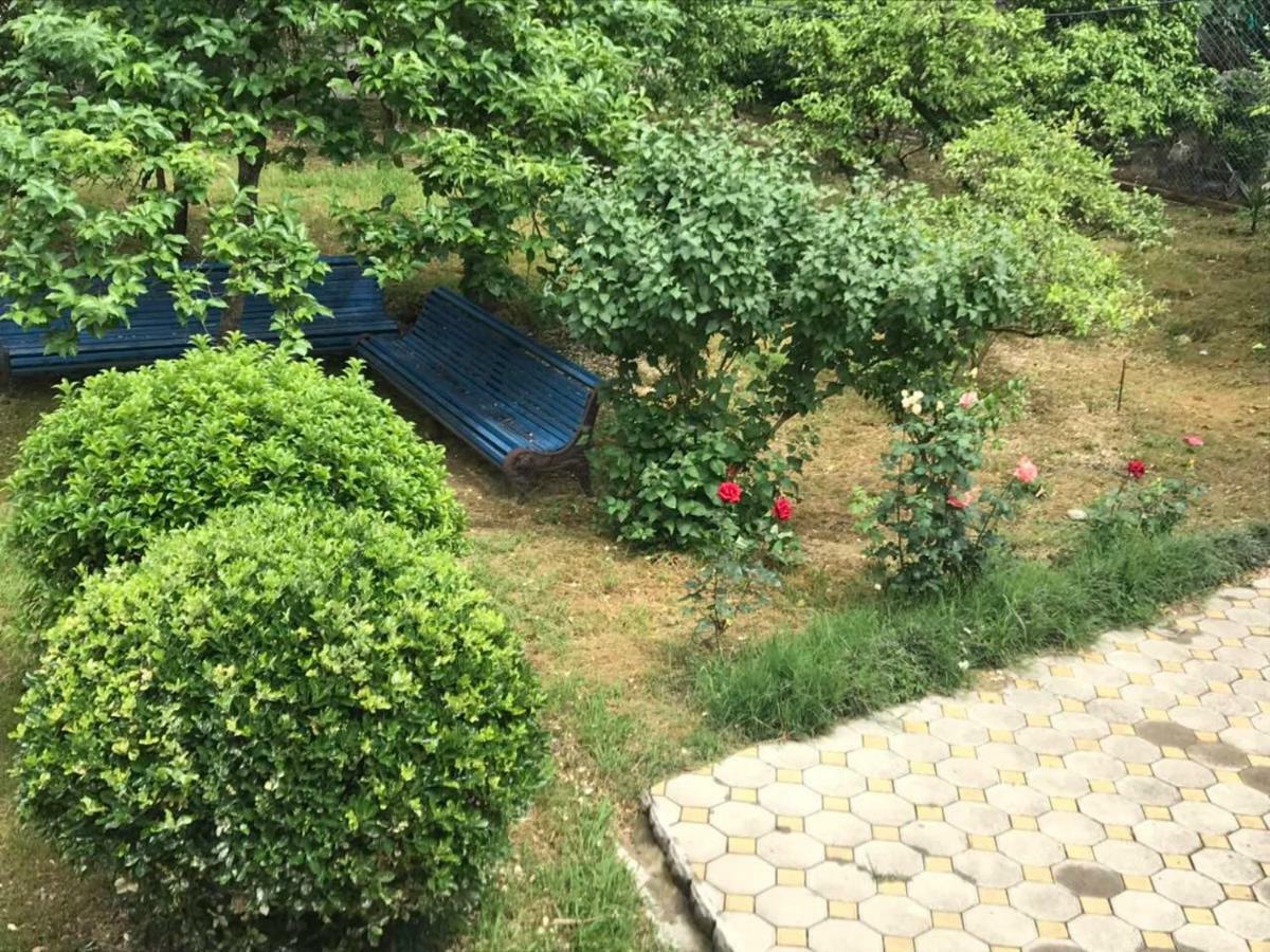 Guest House Dali Гагра Екстериор снимка