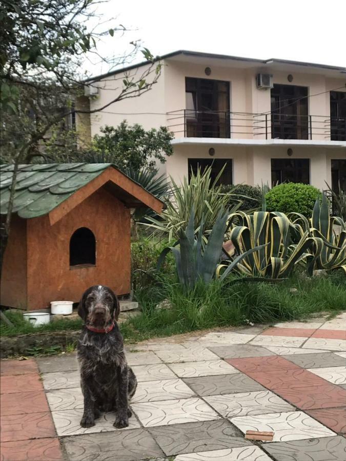 Guest House Dali Гагра Екстериор снимка